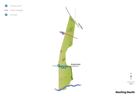 Illustrated map of Weeting Heath