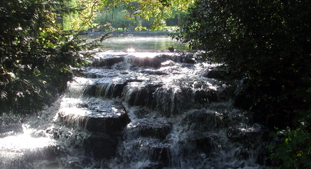 A waterfall cascading over a short stack of rocks, with trees on each side, on a sunny day