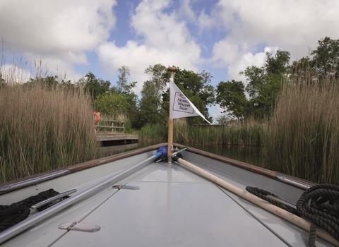 A boat with a NWT flag sailing through reeds. 