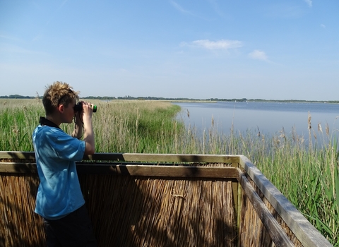 A young boy looks over the broad with his binoculars on a sunny day