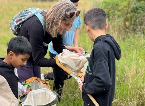 An NWT team member leans over a net while a boy holds it and looks into it, while another boy stands in front of them looking into another net, as they look for bugs at a nature reserve.