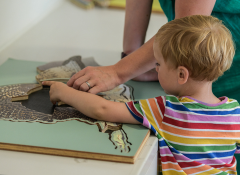 A young boy wearing a rainbow striped t-shirt completes a fossil puzzle, with a parent helping from behind