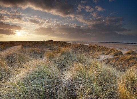 The sun sets in a darkening sky above a dune covered in long grasses, with the beach and sea visible to the right