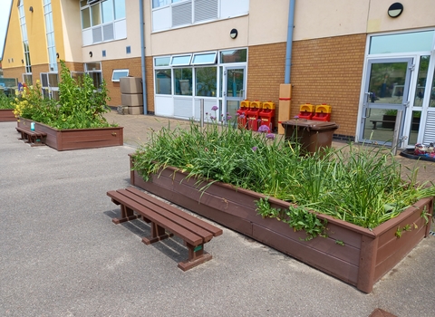 A school playground with raised plant borders filled with green plants, in front of a brick building