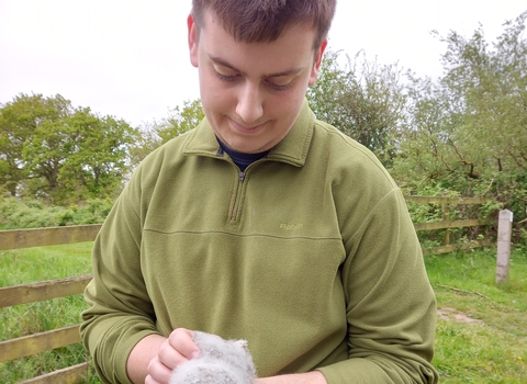 A young man holds a baby tawny owl