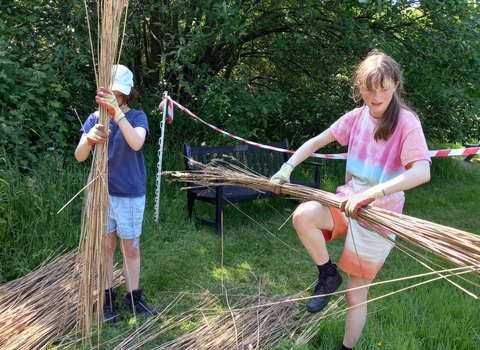 Two young people are gathering reeds into bundles