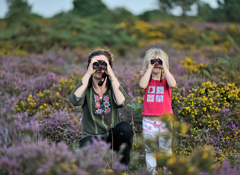 A mother and child are looking through binoculars in a field of heather