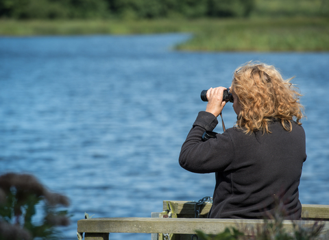 A volunteer is looking out onto the Broads with her binoculars 