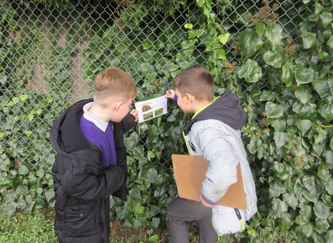 Two children by a hedge looking at an ID sheet