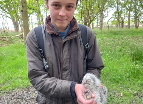 A young boy holding an owlet