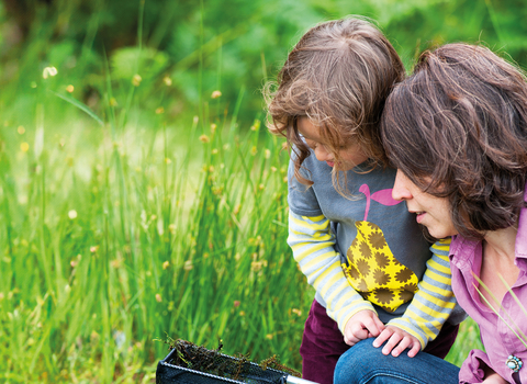 A mother and young child crouch and inspect the contents of a pond-dipping net