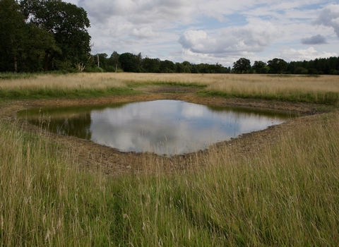 An excavated pingo. It a dug out square filled with water surrounded by grasses.