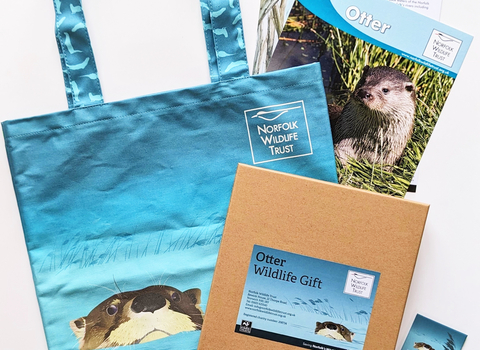 An tote bag decorated with an otter illustration is displayed with an otter magnet and otter fact sheet