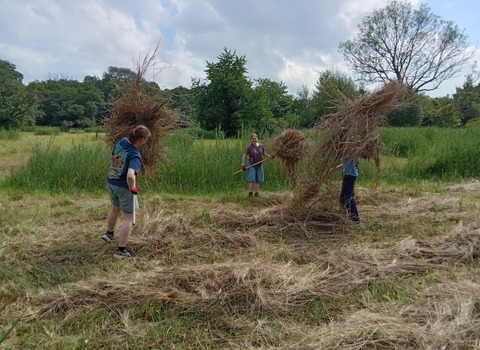 Three young people in a field on a cloudy day, raking up large piles of hay