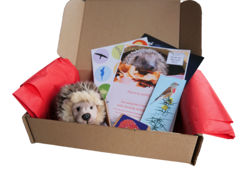 An open cardboard box showing a hedgehog soft toy, a certificate, stickers, bookmark, information booklet and seedballs