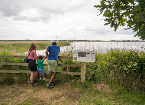 A mum, dad and young boy peering over a fence overlooking the broad at Hickling.