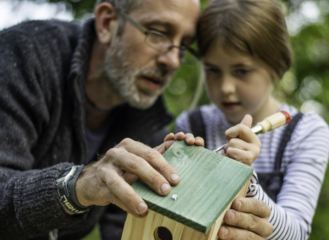 A father and daughter building a bird box